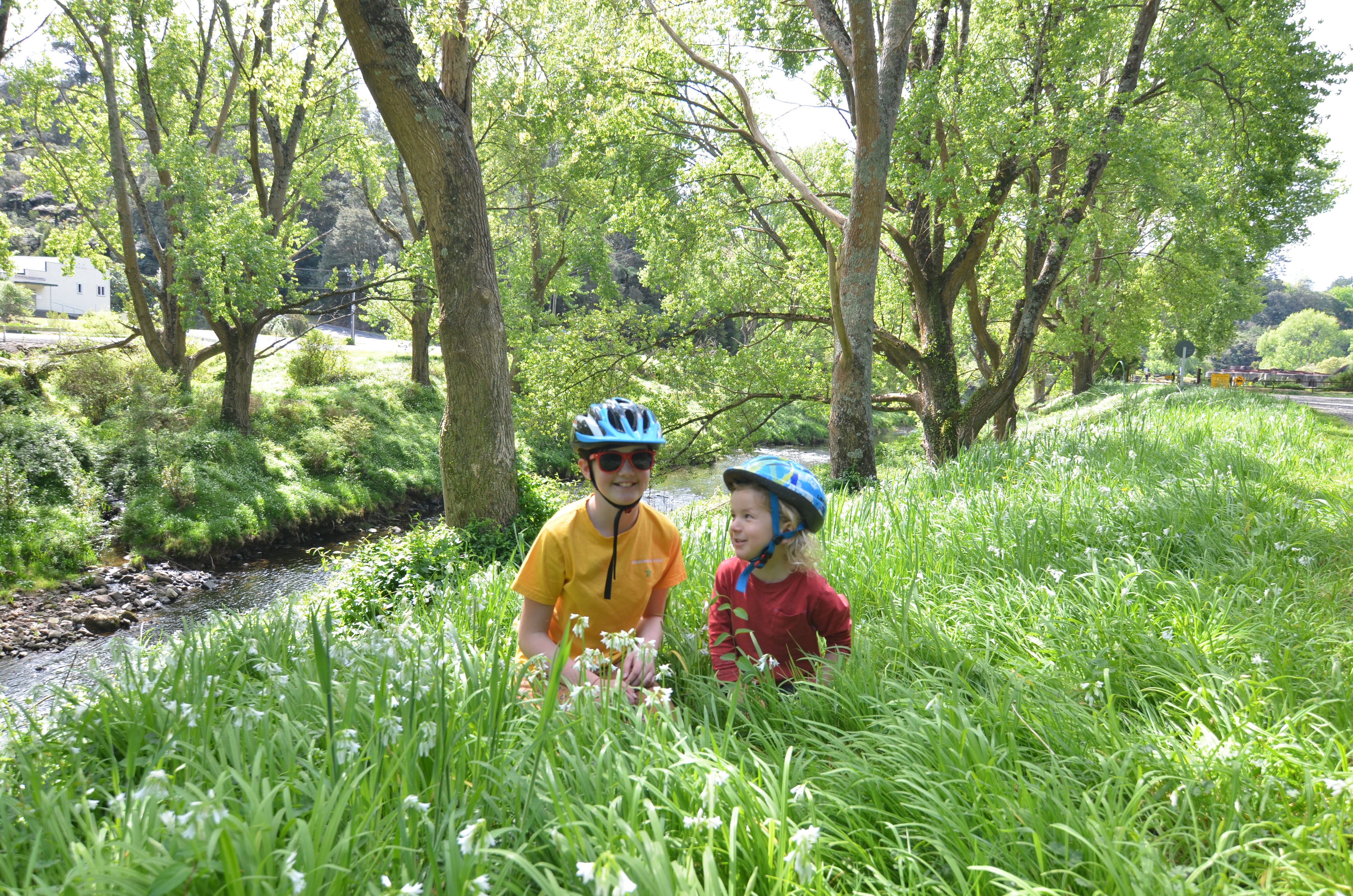 Biking the Hauraki Rail Trail with kids