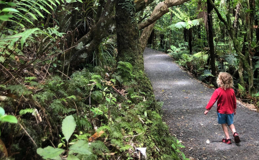 Waikato Family Adventures | Towering black sand dunes, dancing fairies and skyward waterfalls